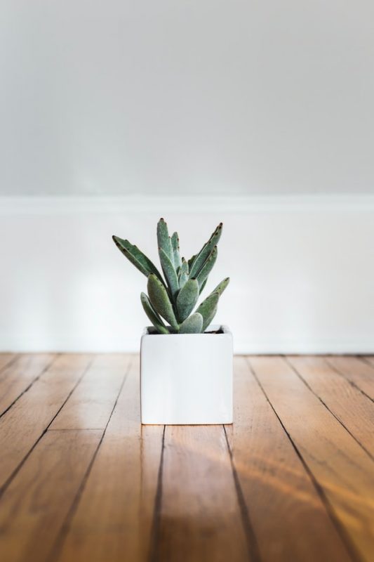 Βακάλογλου Είδη Υγιεινής & Ανταλλακτικά